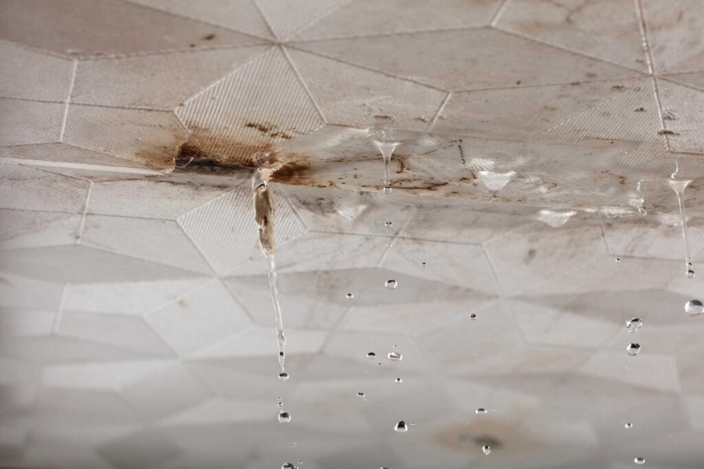 What Are 24/7 Water Damage Response Services?