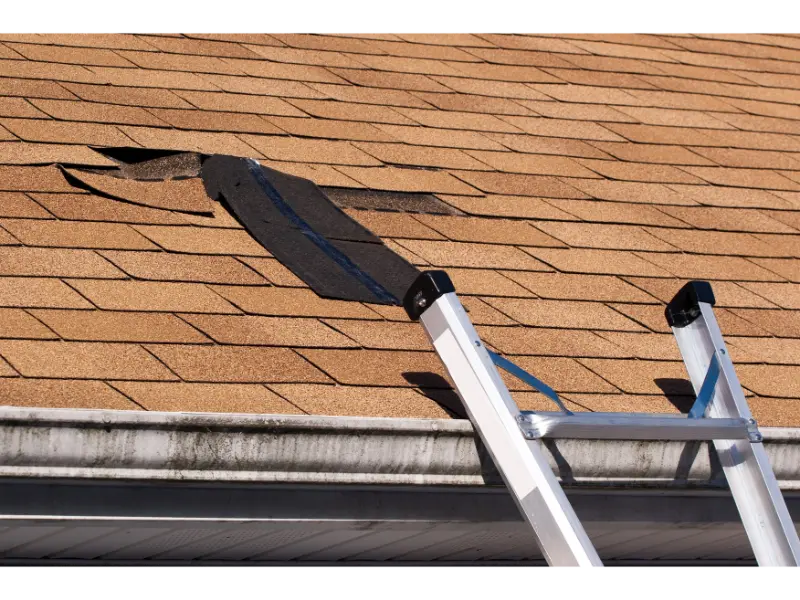 Reliable Roof Leak Repairs in Lakeside