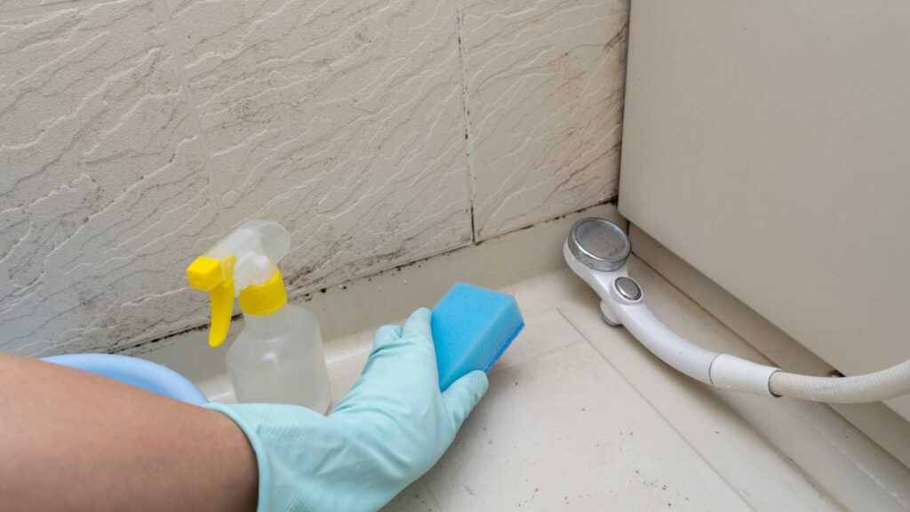 Top Sewage Cleanup Techniques for Water Damage