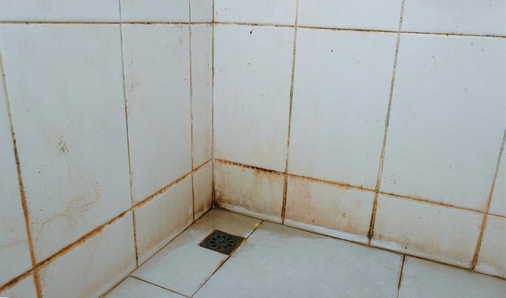 Comprehensive Leak Detection and Sewage Cleanup Solutions