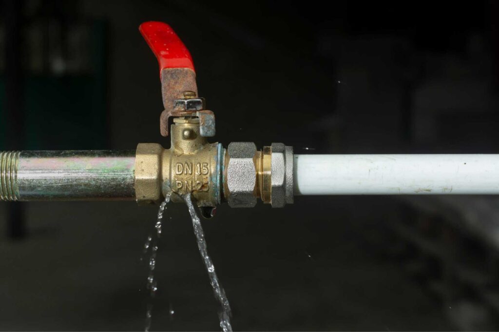 Top Tips for Water Leak Detection Professionals