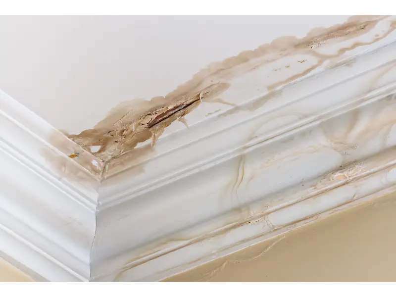 Reliable Water Damage Restoration in La Mesa